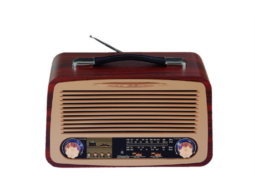 Radio Speaker